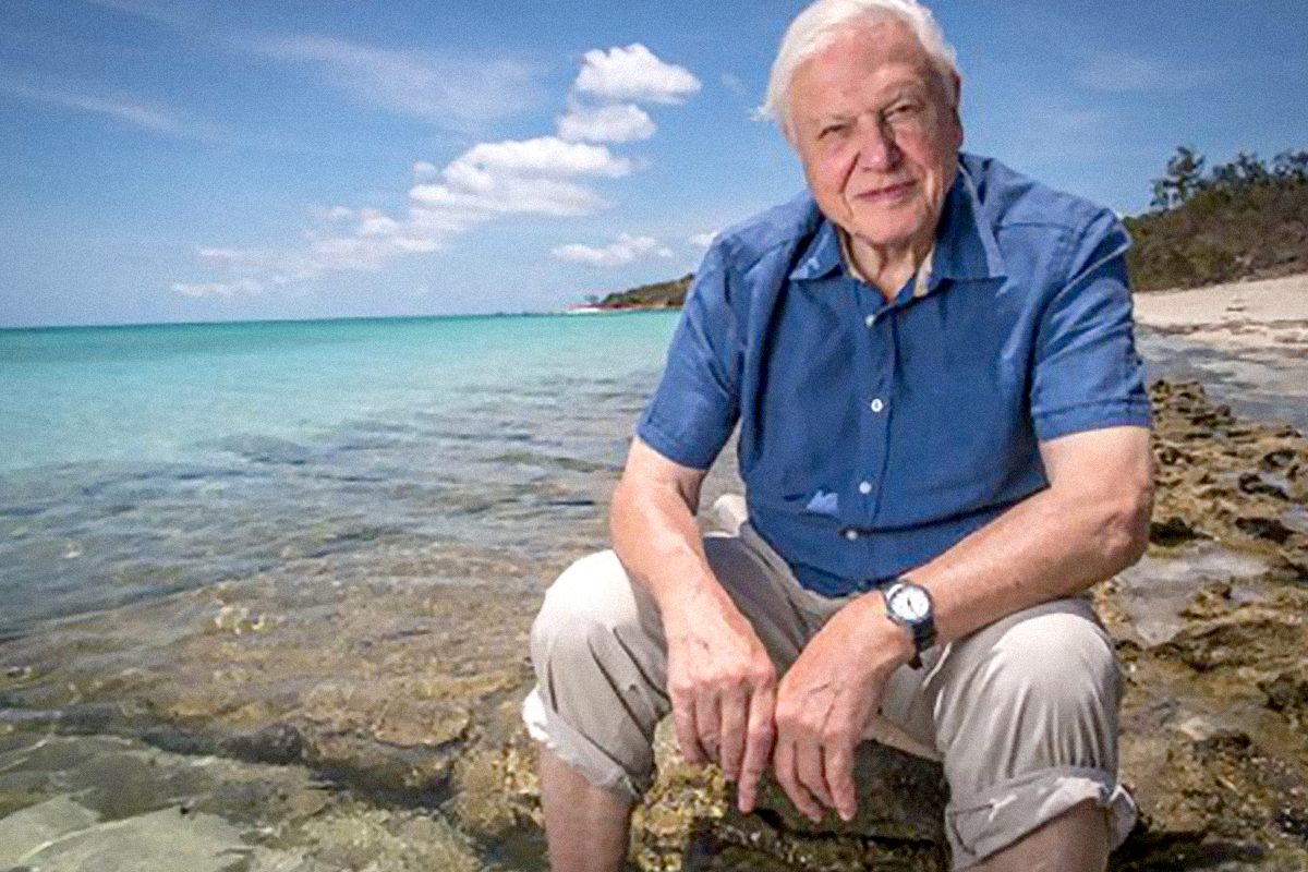 ATTENBOROUGH, David