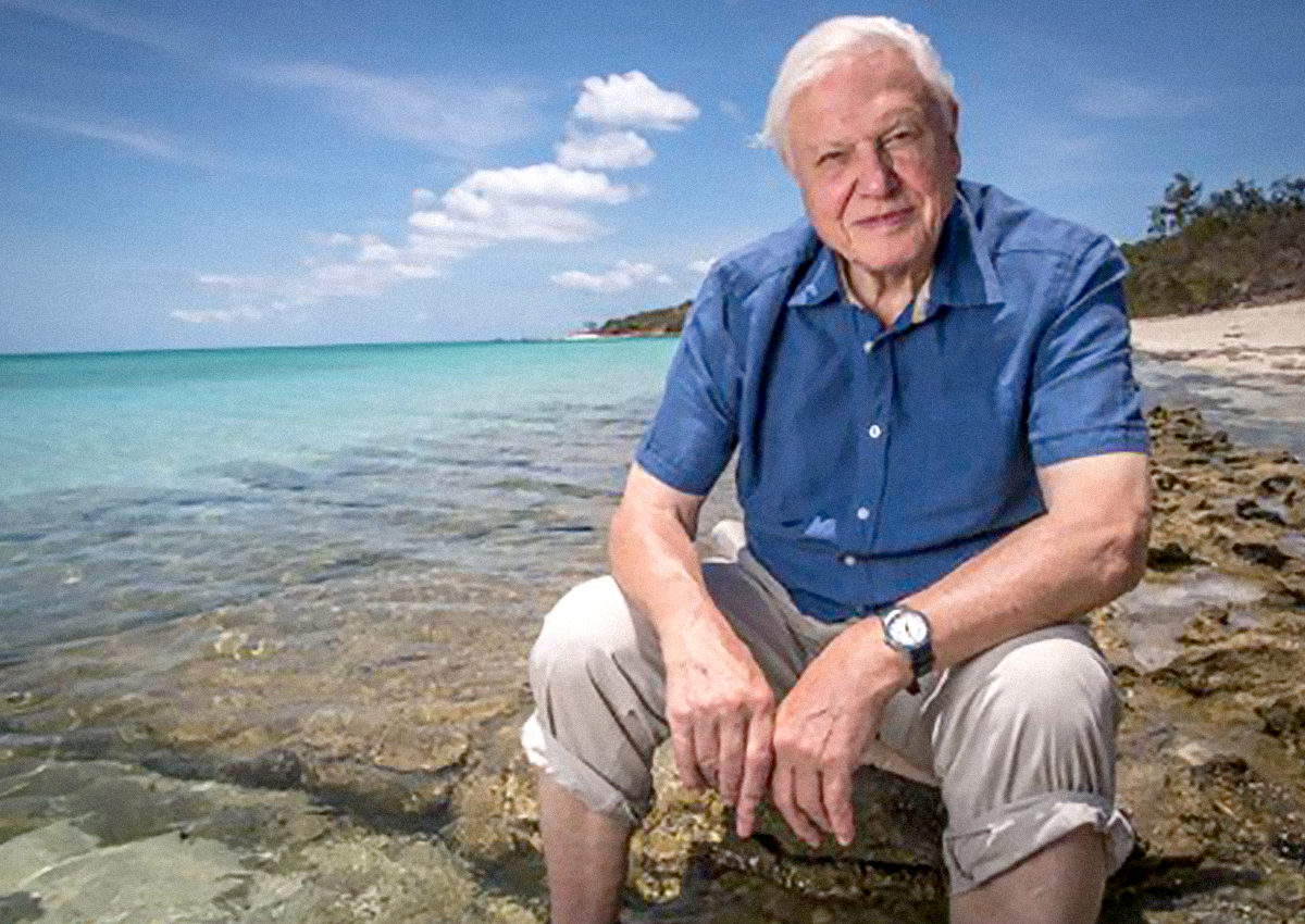 ATTENBOROUGH, David